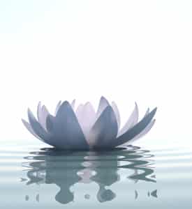 Iniciación a meditación y Mindfulness