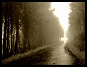 Arquitectos del camino