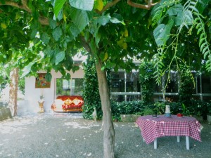 mindfulnes en Tarragona