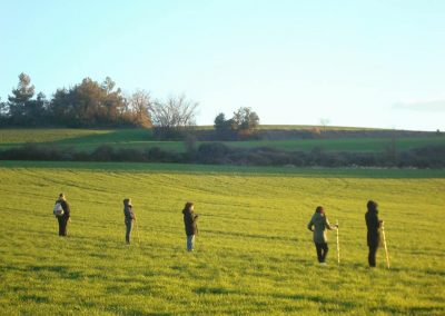 el arte de caminar, paseos contemplativos